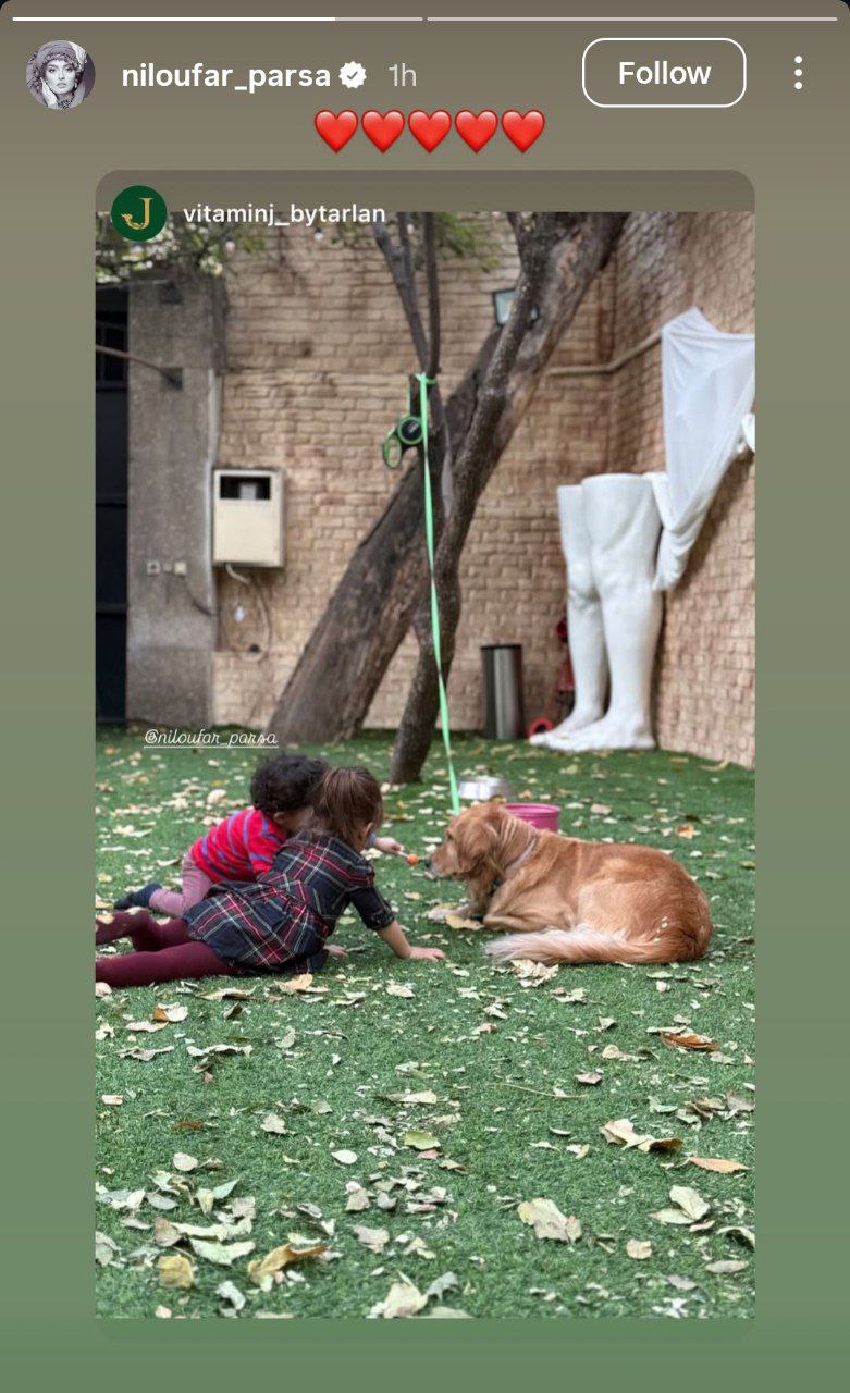 نیلوفر+پارسا