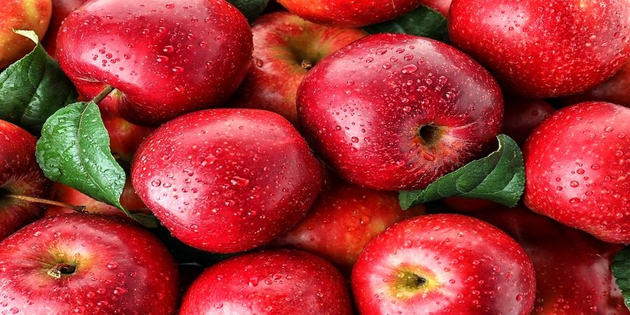 اگر زیاد سیب بخوریم چه اتفاقی برایمان می‌افتد؟