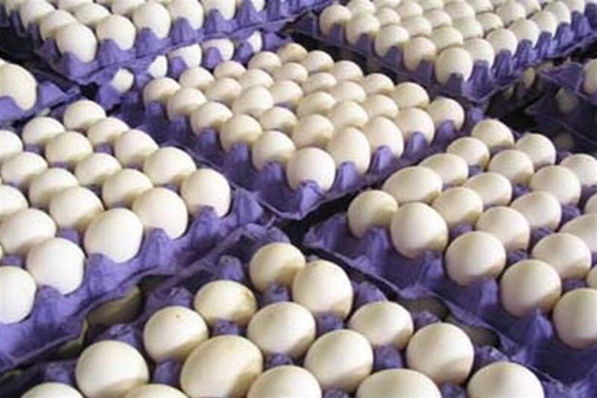 پودر سفیده تخم مرغ غوغا میکند