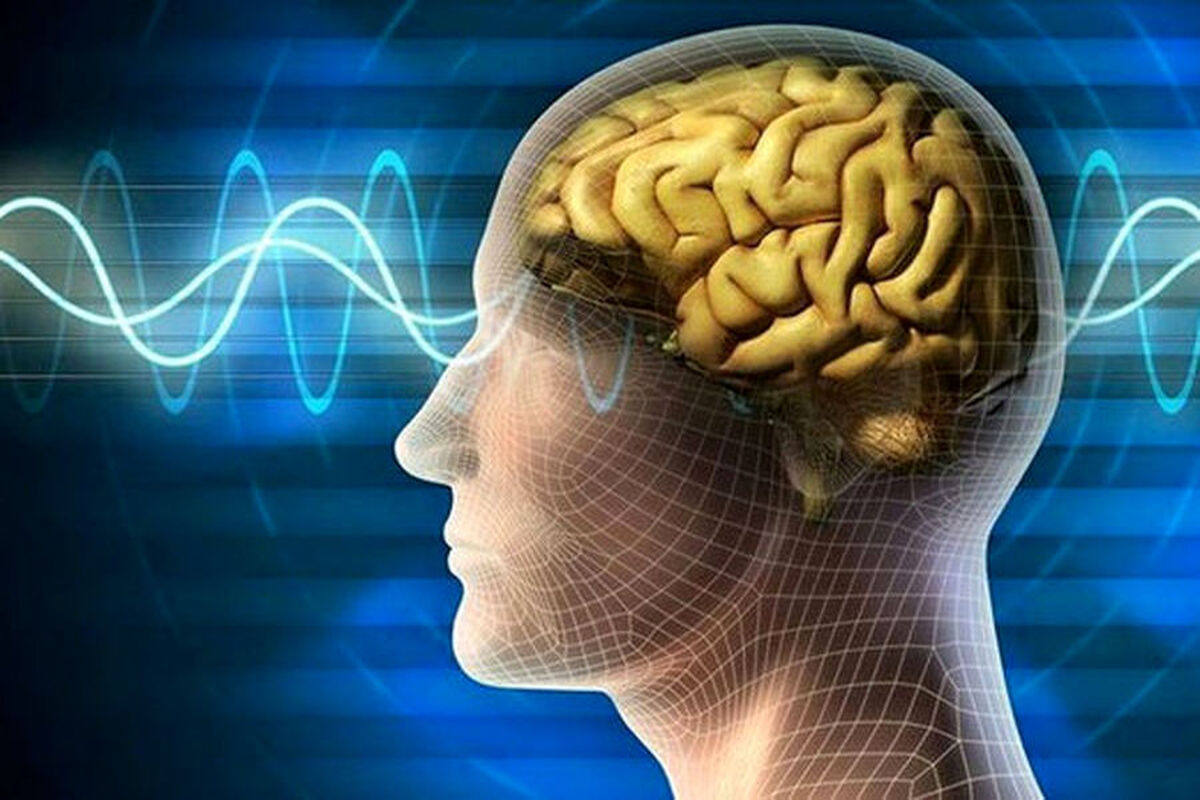 چگونه با یک روش ساده مغز را جوان نگه داریم؟