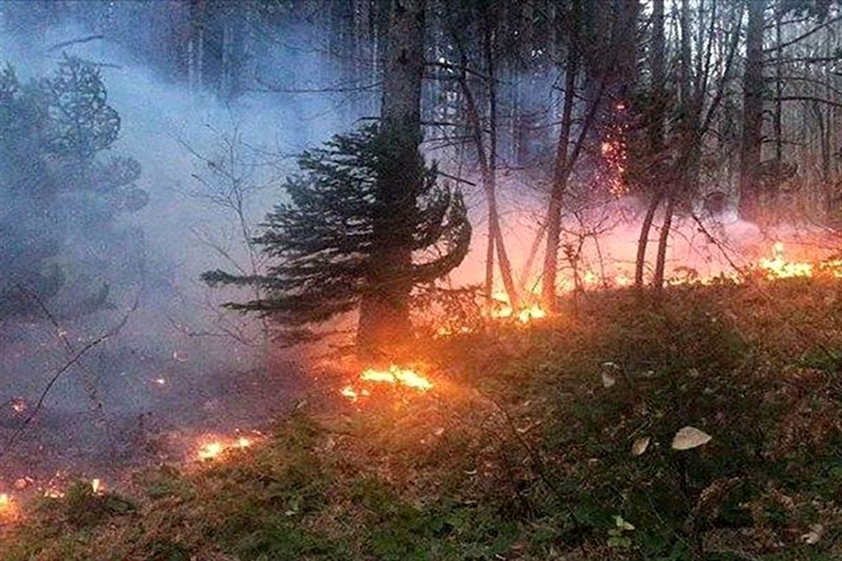 آتش‌سوزی گسترده در جنگل‌های کوه‌چنار فارس