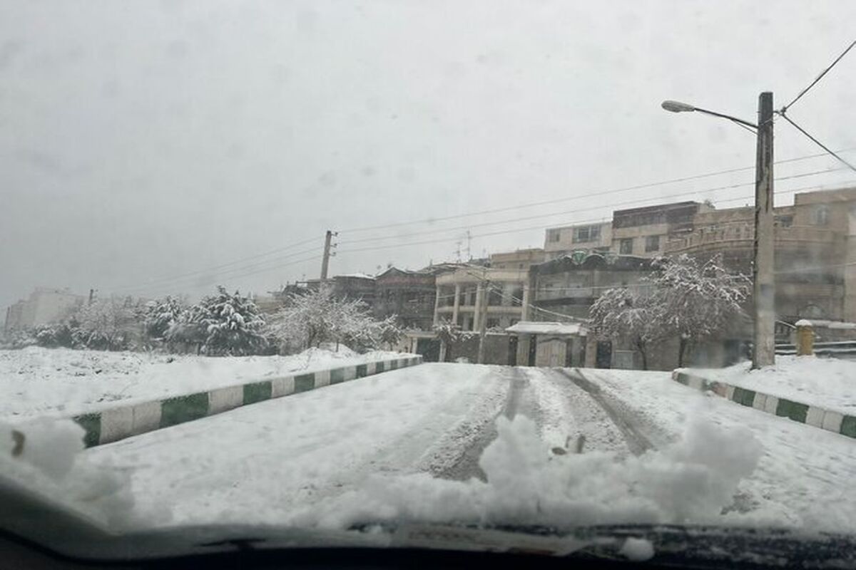 یخبندان در ۱۵ مرکز استان ؛ زیر صفر می‌روند | کدام استان‌ها برفی می‌شوند؟ | تهران هم سفیدپوش می‌شود؟