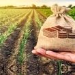 پوشش بیمه جدید برای این گروه از افراد همراه با جزییات 