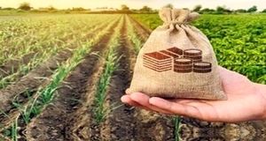 پوشش بیمه جدید برای این گروه از افراد همراه با جزییات 