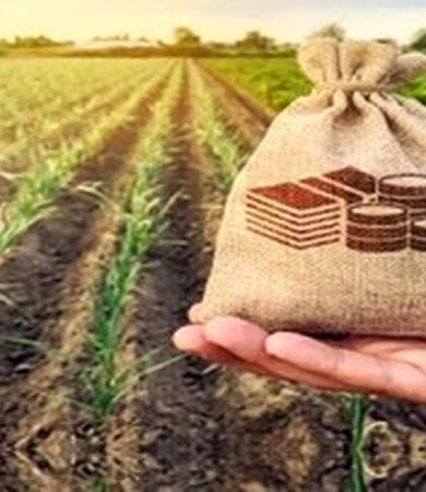 پوشش بیمه جدید برای این گروه از افراد همراه با جزییات 
