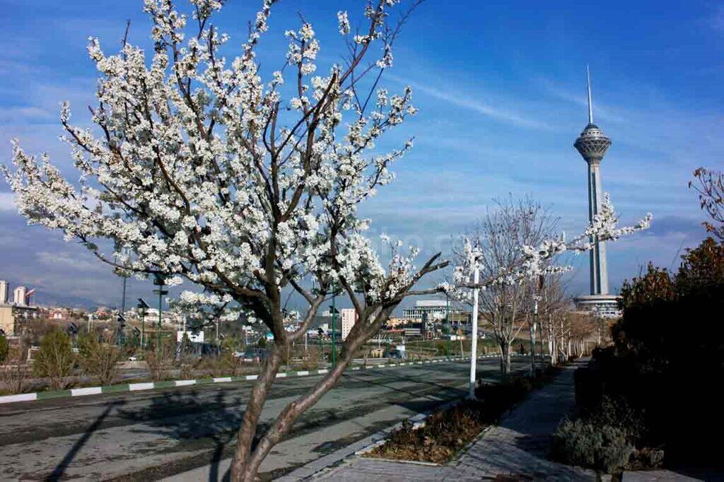 افزایش دما در نقاط مختلف کشور از امروز | رگبار باران و وزش باد در ۳ استان
