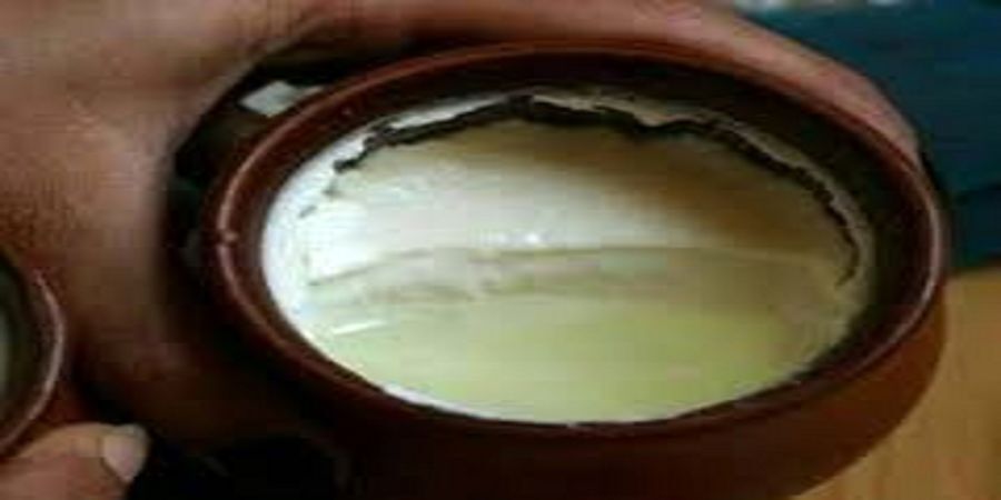 
اشتباهی که در خوردن ماست نباید مرتکب شد!
