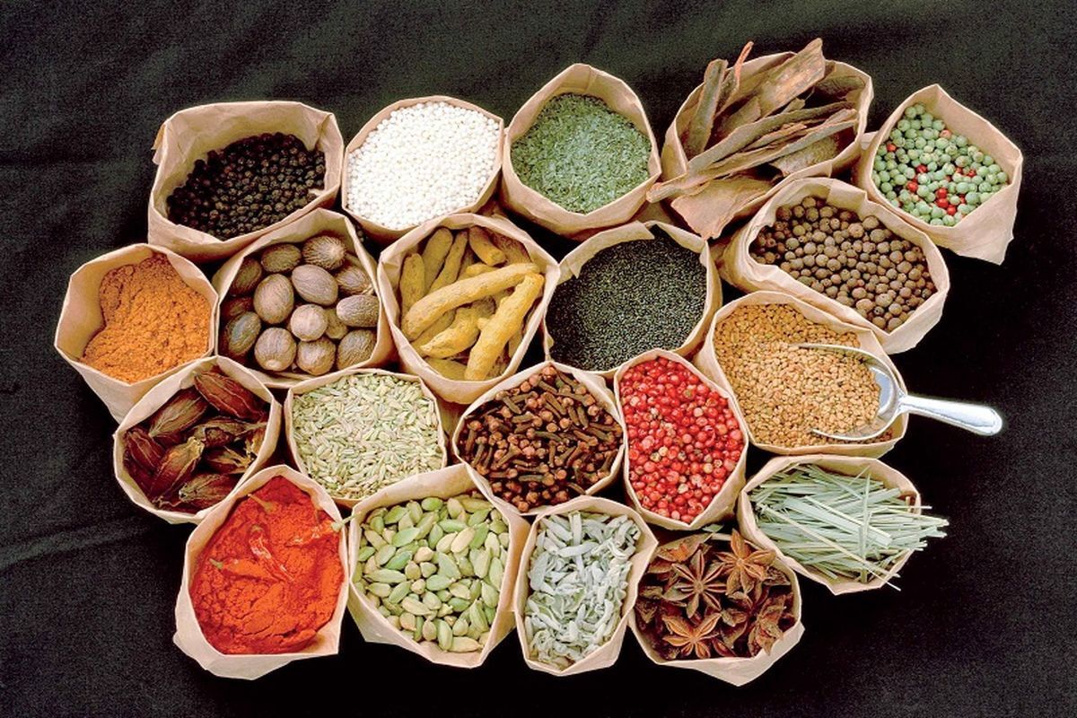 ۱۰ گیاه دارویی که سرطان را به آسانی ضربه فنی می کند!
