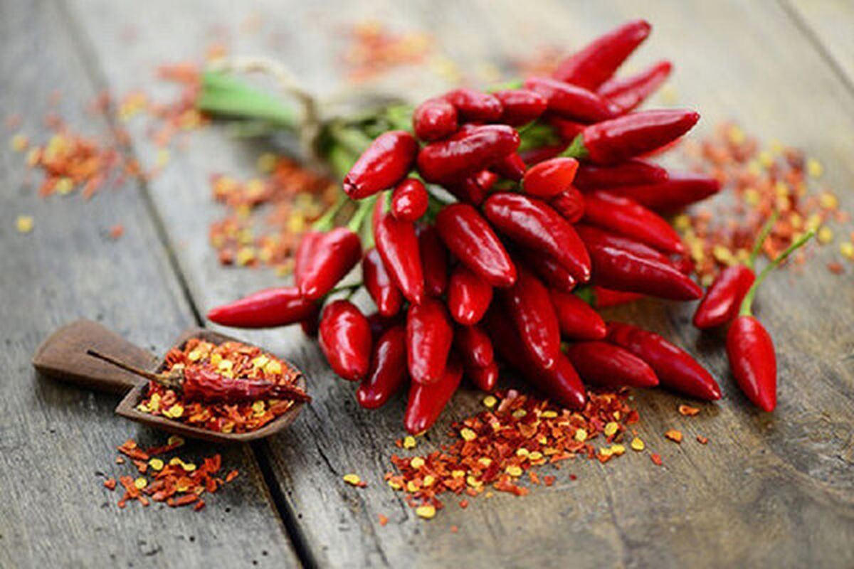 این غذای تند باعث زوال عقل می شود!