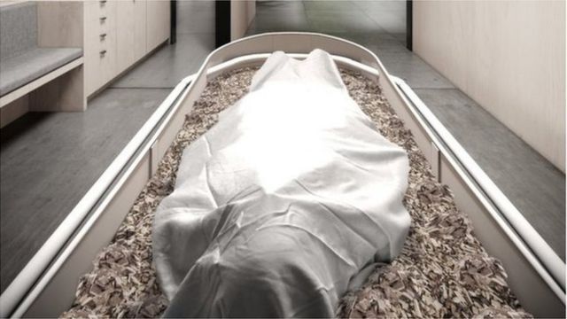مرگ دردناک دانشجوی جوان پس از خوردن ماکارونی 