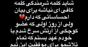 محمد عمری از همه پرسپولیسی‌ها عذرخواهی کرد