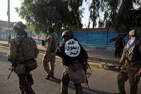 بازداشت 14 عضو «داعش خراسان» در 4 استان کشور
