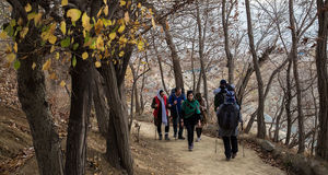 احداث سرویس بهداشتی در این مکان برای تهران دردسر شد!