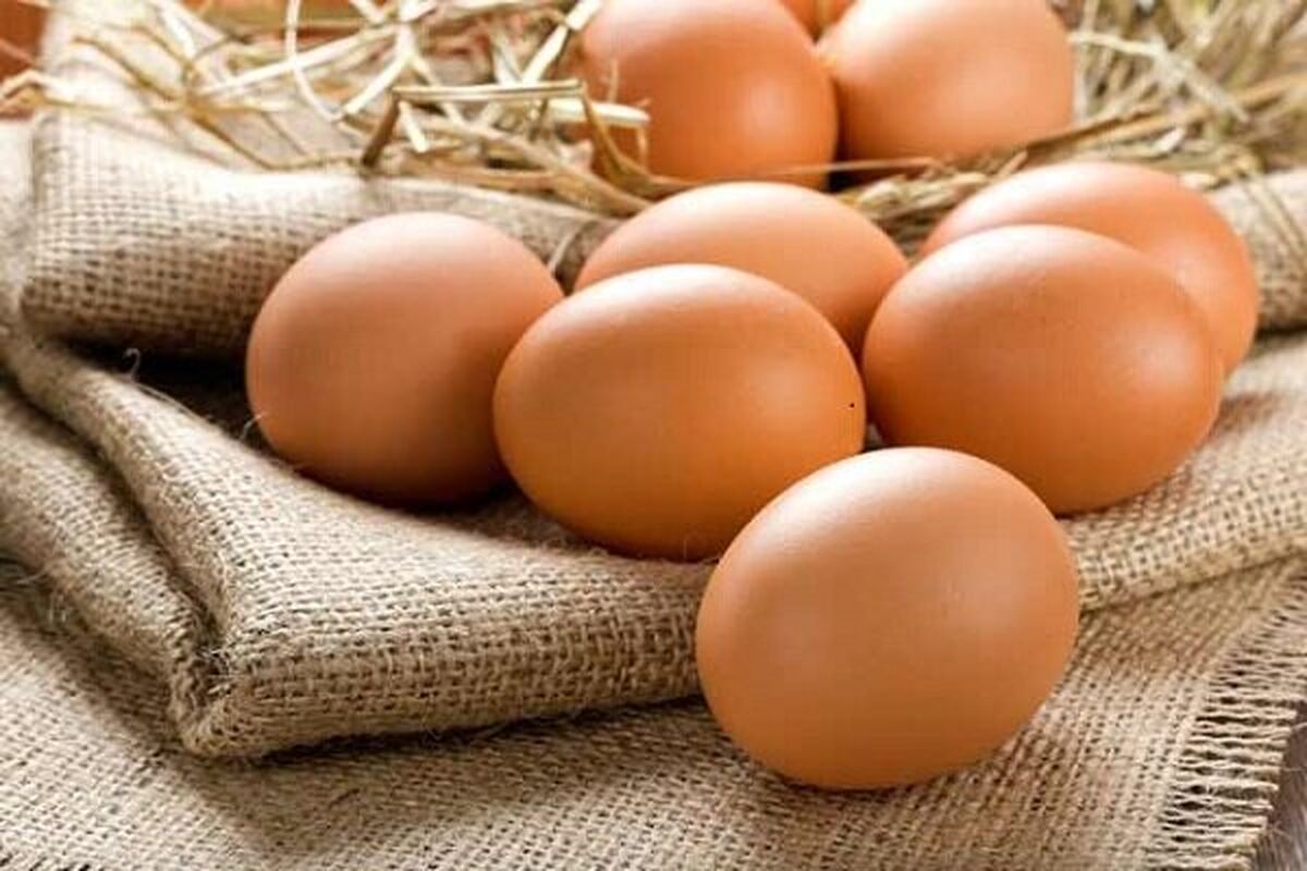 تخم مرغ شانه ای چند شد؟