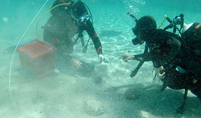 شیرجه اتفاقی روی گنج ۱۷۰۰ ساله +عکس