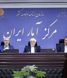 عارف:دولت چهاردهم با مرکز آمار ایران دستوری برخورد نمی‌کند
