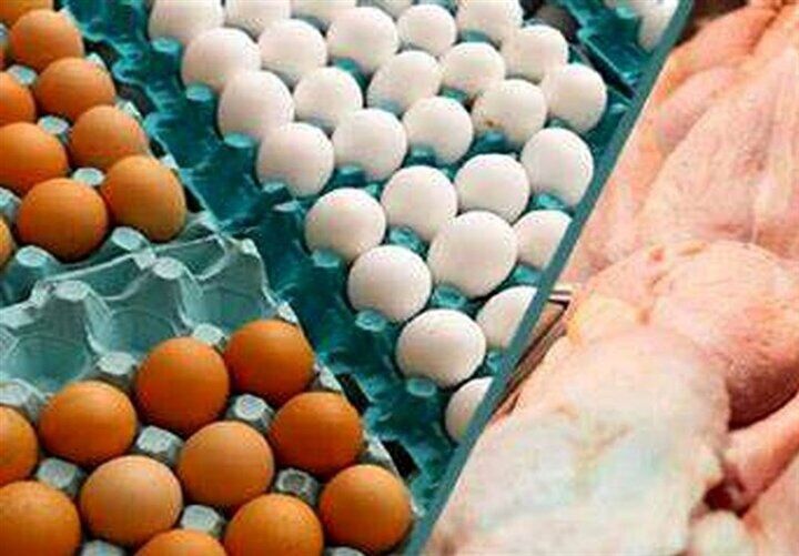 قیمت تخم مرغ ۲۰ درصد از نرخ مصوب ارزانتر شد