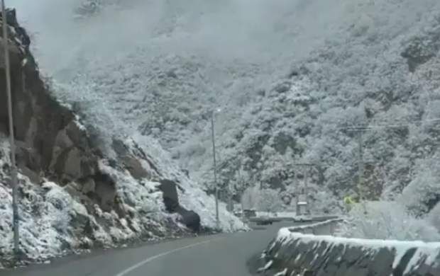 ویدئوی زیبا از طبیعت برفی جاده چالوس
