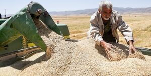 کاهش جهانی قیمت کالاهای اساسی