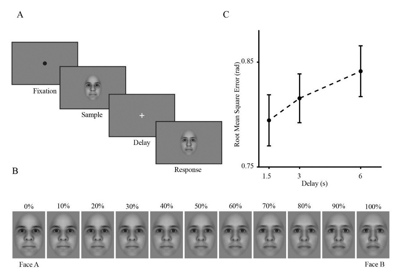 تاثیر پیری بر دقت حافظه کوتاه‌مدت تصویری