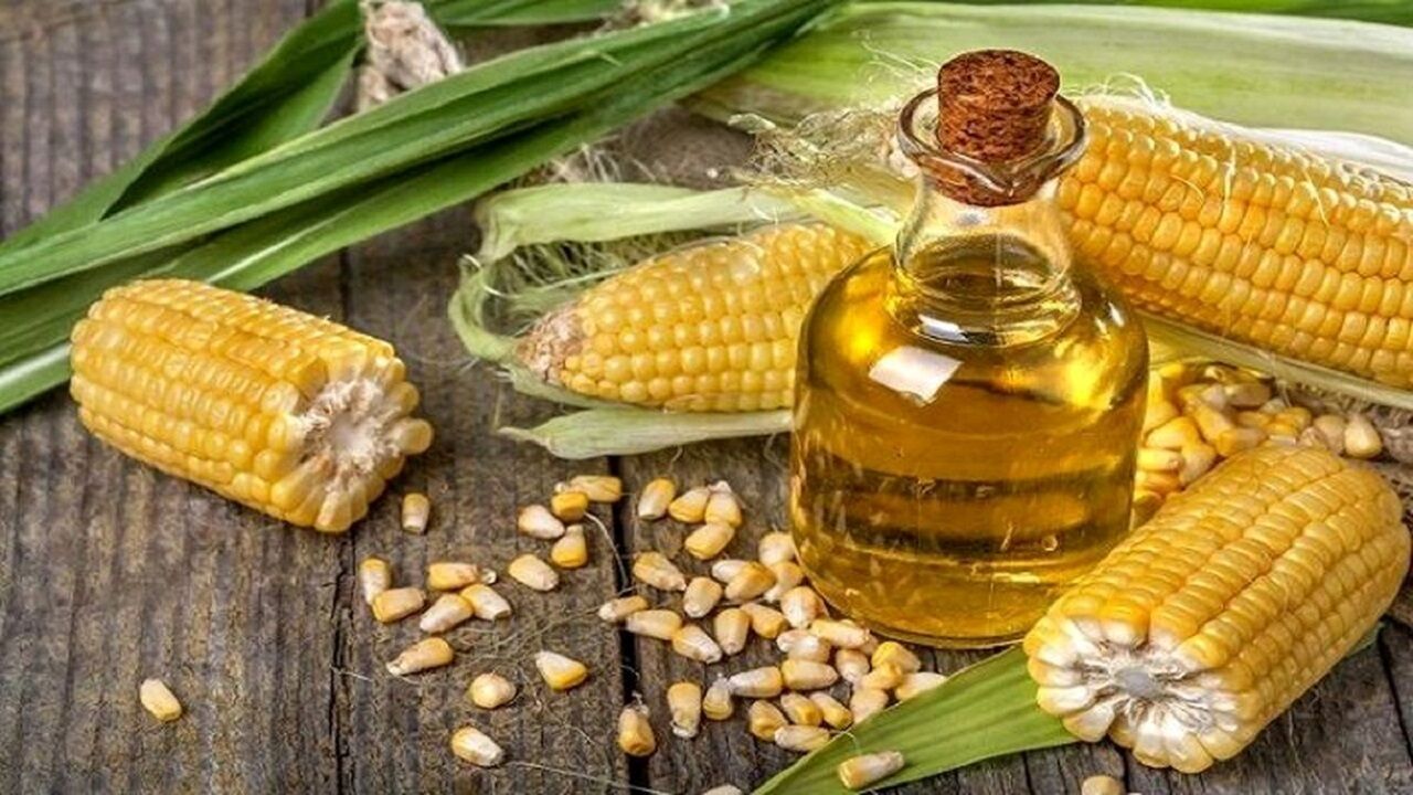 فواید شگفت انگیز ذرت برای رشد و سلامتی پوست و مو