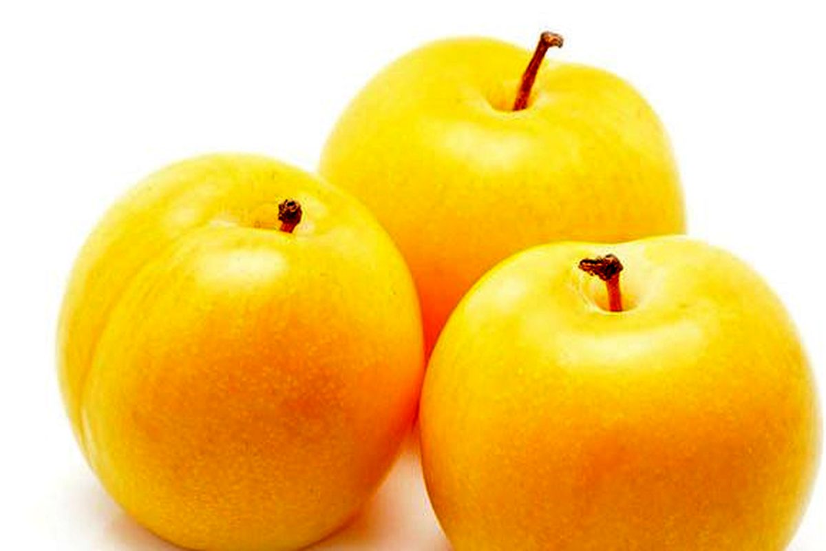 معرفی میوه نجات بخش!