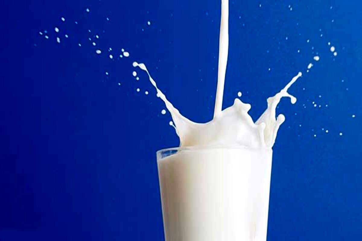 افزایش قیمت شیر و لبنیات