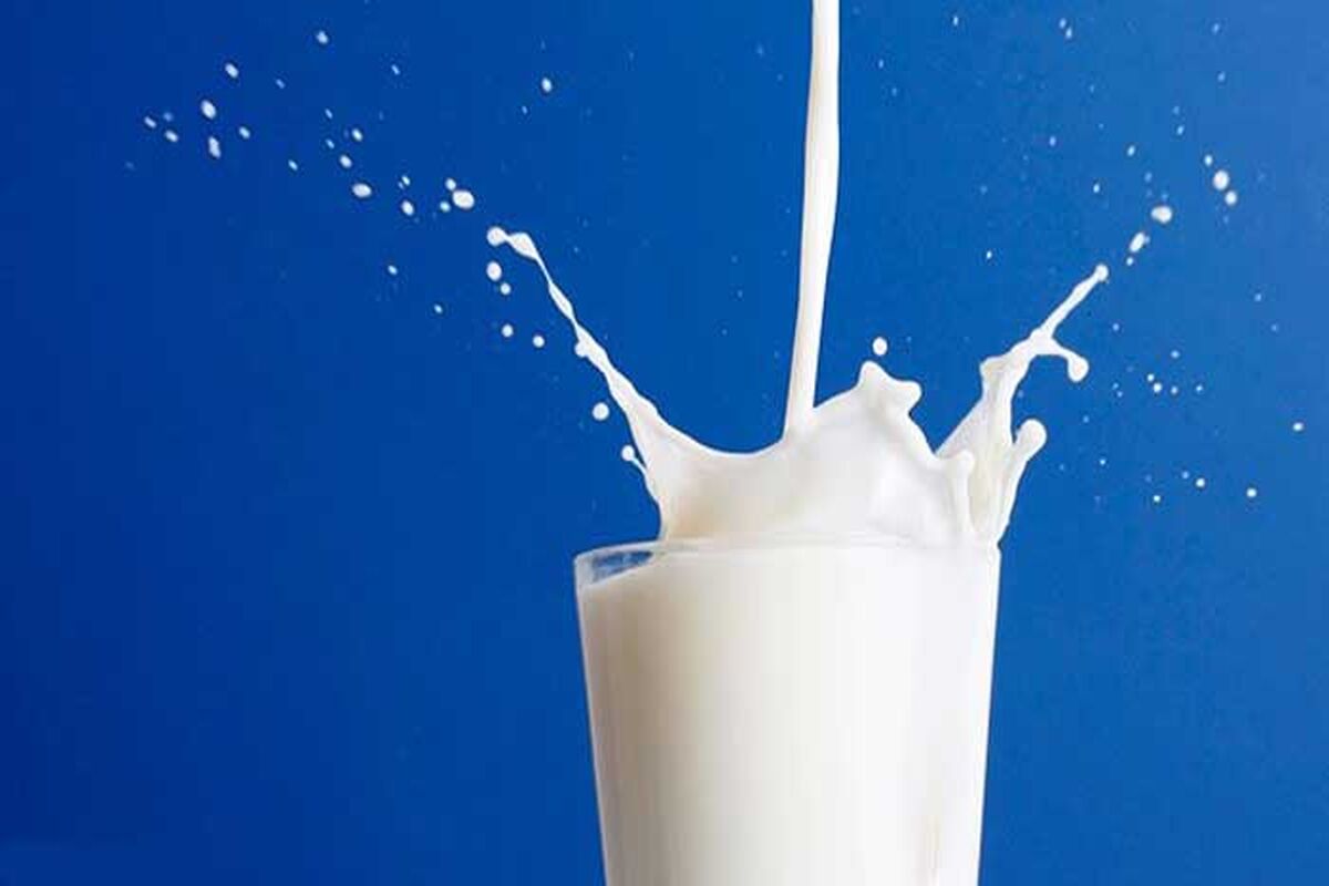 فواید جذاب شیر و لبنیات برای بدن