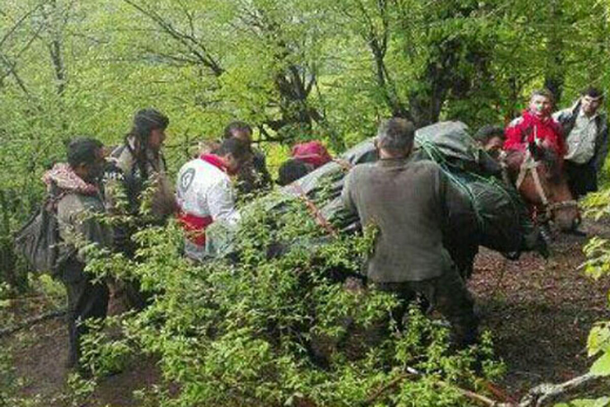قتل خوفناک در جاده چالوس / قاتل جانی دست از سر جسدش هم برنداشت