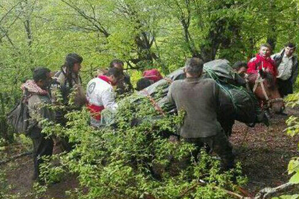 قتل خوفناک در جاده چالوس / قاتل جانی دست از سر جسدش هم برنداشت