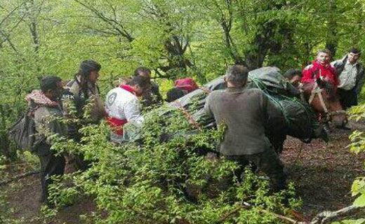 قتل خوفناک در جاده چالوس / قاتل جانی دست از سر جسدش هم برنداشت