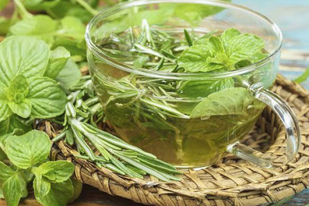 فواید مضرات استفاده از برگ سنا