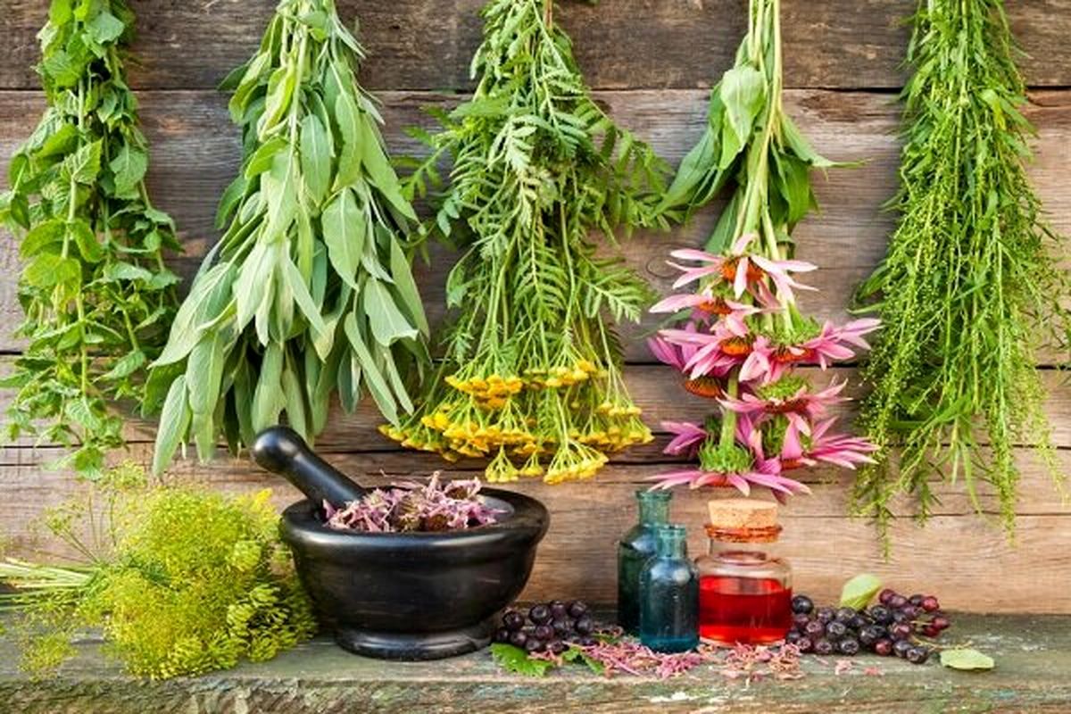 رسیدن به لاغری با استفاده از مواد گیاهی