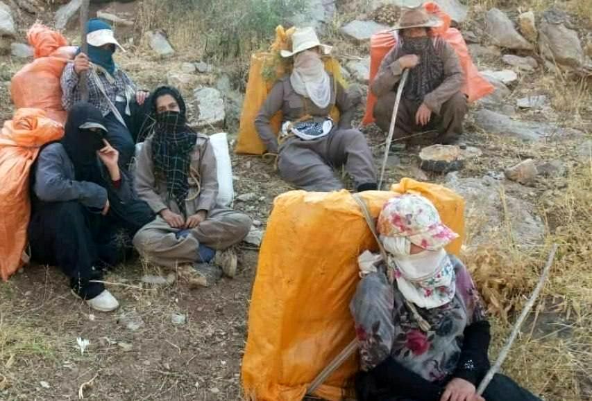 خبر مهم درباره کشته شدن آسو کریمی کولبر پاوه ای با تیراندازی هنگ مرزی