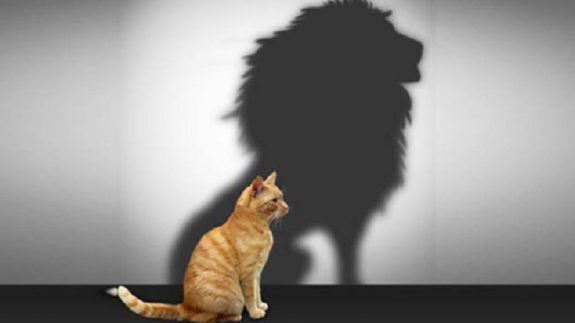 خودشیفتگی و عوارض مربوط به آن