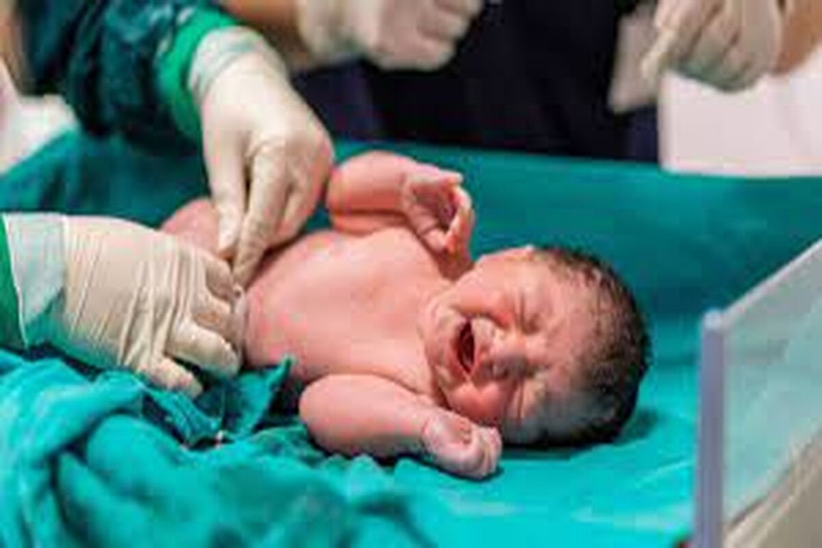 آمار عجیب زایمان اتباع در قم خبرساز شد + عکس
