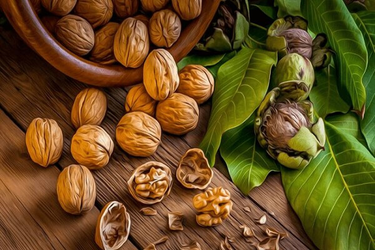 بهترین روش استفاده از گردو