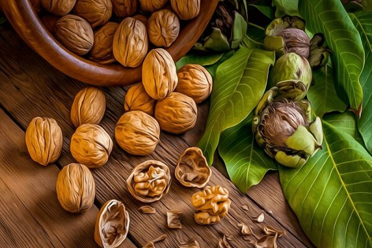 آشنایی با خواص جذاب گردو
