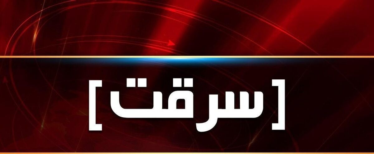 سارقان با دیلم در پارکینگ‌ها را خم می‌کردند!