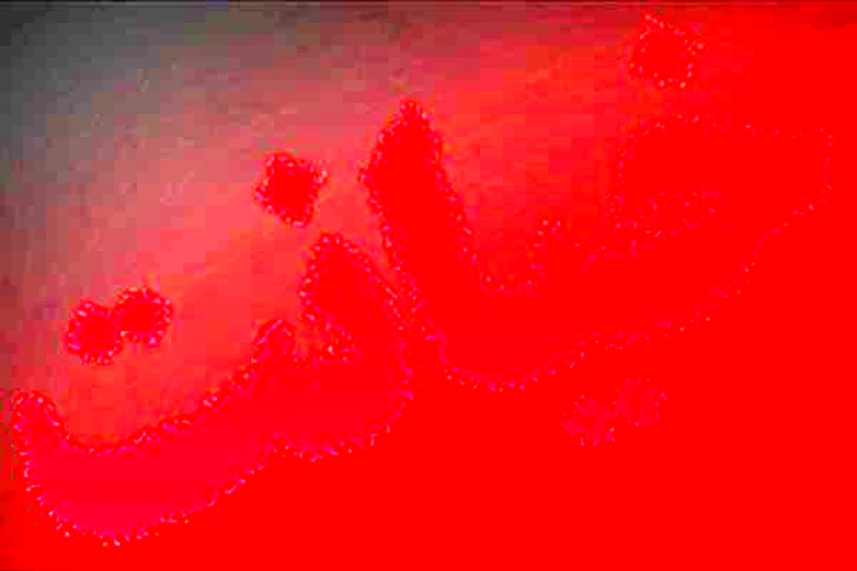 رو شدن دست شوهر خیانتکار در پارک