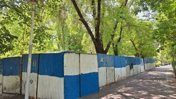 شورای شهر جلوی ساخت و ساز در پارک لاله را گرفت/ جزئیات تکمیلی