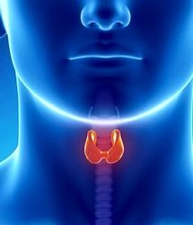 علائمی که نشان می دهد شما تیروئید دارید