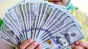 جدیدترین قیمت کشف شده برای دلار، یورو و درهم | نرخ حواله ها مشخص شد