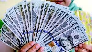 نتیجه ترسناک جلسه مشترک دولت و مجلس درباره قیمت دلار
