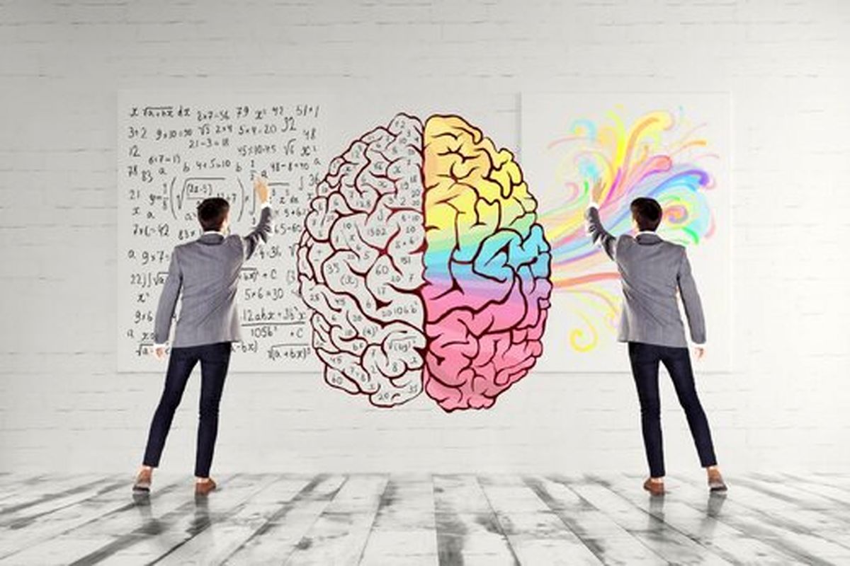 همه چیز درباره راست مغزی و چپ مغزی را بخوانید