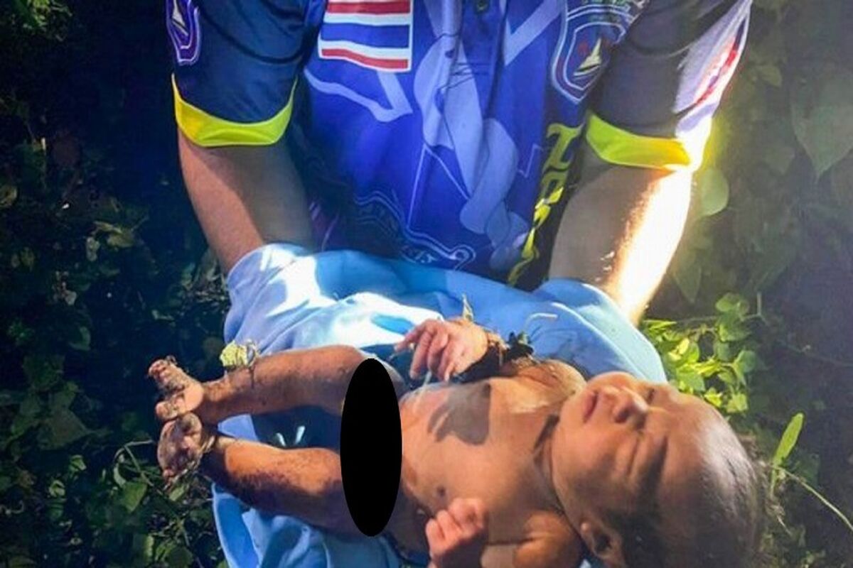 رها کردن نوزاد تازه متولد شده در جنگل/ بدن برهنه نوزاد پر از حشرات بود
