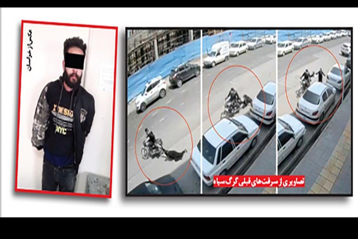 فقط زنان و دختران طعمه کار کثیفش بودند /گرگ سیاه مشهد به زندان رفت