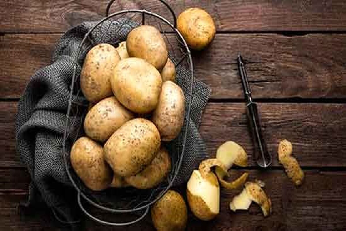 چرا سیب زمینی گران شد؟