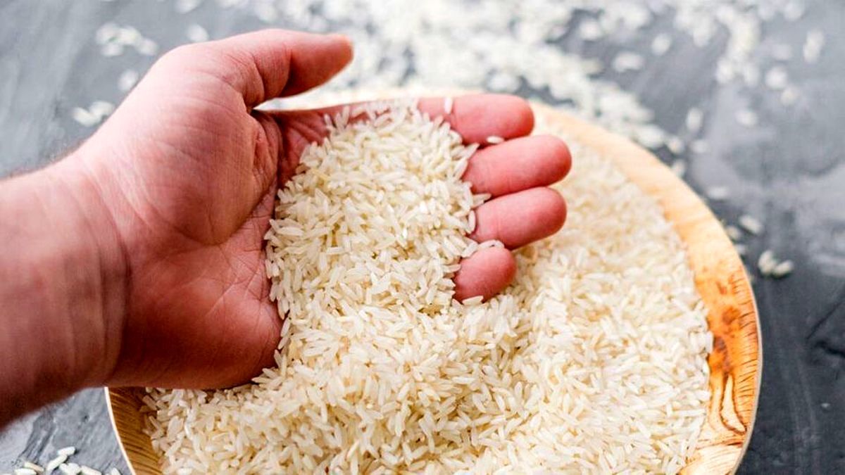 کاهش قیمت برنج ایرانی در راه است؟