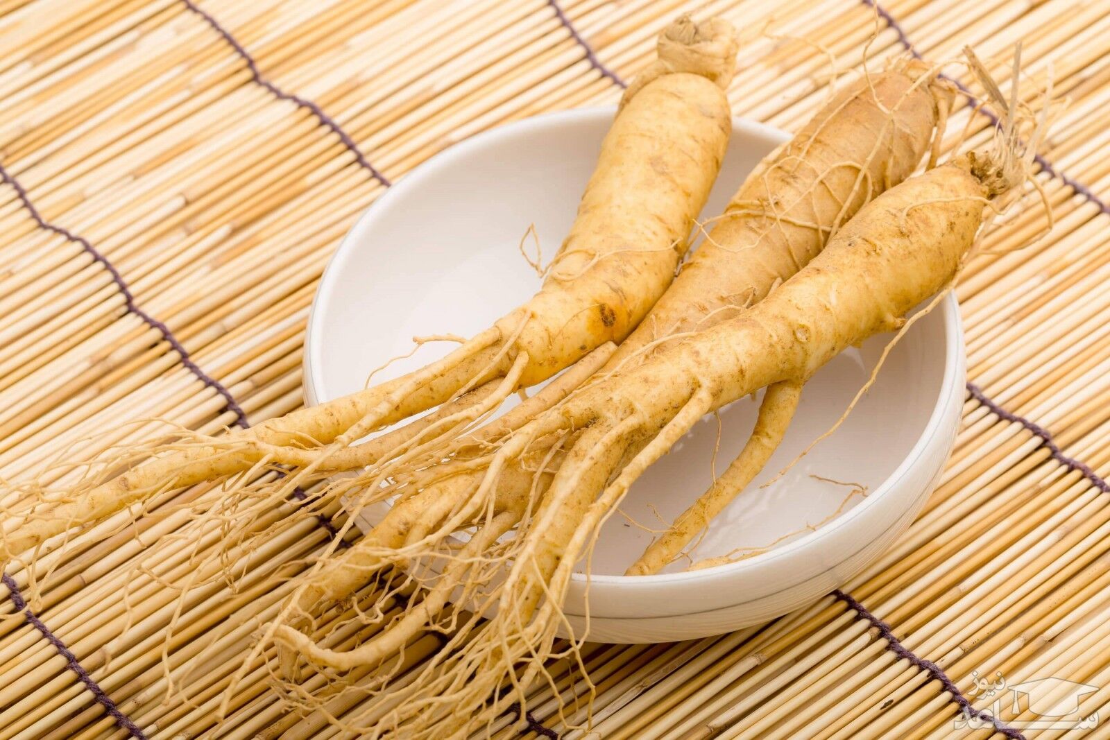 کاهش استرس فقط با یک گیاه!